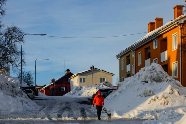 Kiruna Sverige Kvinna Som Rastar Sin Hund Solnedgången Gata — Stockfoto