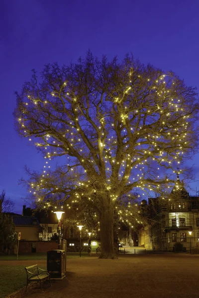 Lund Sveç Geceleri Katedral Parkında Büyük Aydınlatılmış Bir Ağaç — Stok fotoğraf