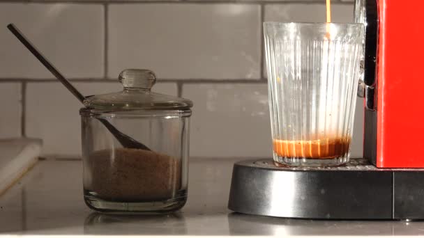Kapsel Kaffebryggare Häller Espressokaffe Ett Glas — Stockvideo