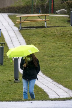 Stockholm, İsveç Solna banliyösündeki Kungshamra öğrenci yerleşim bölgesinde şemsiyeyle yürüyen bir kadın..