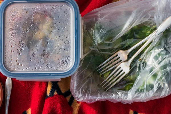 Stockholm Schweden Ein Picknick Bestehend Aus Pasta Plastikbehälter Salat Und — Stockfoto