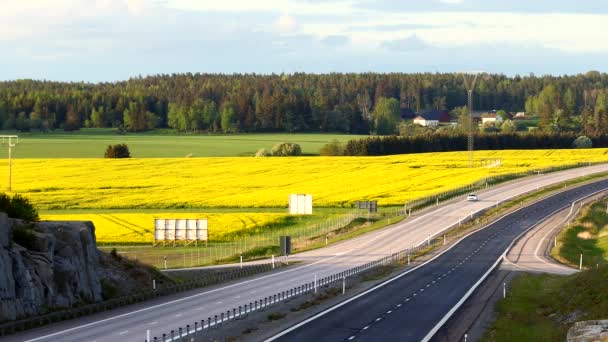 Vasteras Suecia Autopista Campo Amarillo Colza — Vídeo de stock