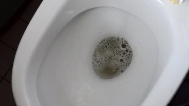 Homem Limpa Vaso Sanitário Com Pincel Detergente — Vídeo de Stock
