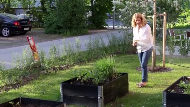 Stockholm Zweden Avonds Geeft Een Vrouw Haar Tuindozen Water — Stockvideo
