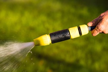 Bir el bahçede bir hortum tutuyor.