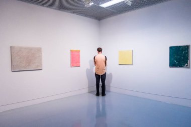 Malmö, İsveç Modern Müzedeki bir adam John Zurier 'in tek renkli resimleriyle ayakta duruyor.