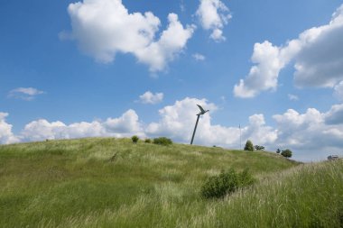 İsveç, Skurup. Yaban kazı, yazar Selma Lagerlof ve İsveç boyunca uçan karakteri Nils Holgerson 'un sembolü, Güney İsveç' te E65 karayolu boyunca duruyor.,
