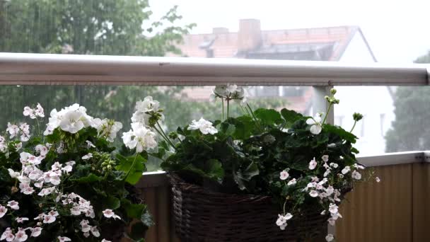 Estocolmo Suecia Lluvia Torrencial Granizo Cayendo Barrio Residencial — Vídeos de Stock