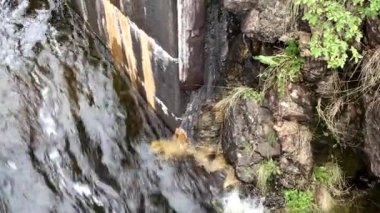 Haverud, İsveç Dalsland Kanalı 'ndaki bir kanaldan bir tekne geçiyor..