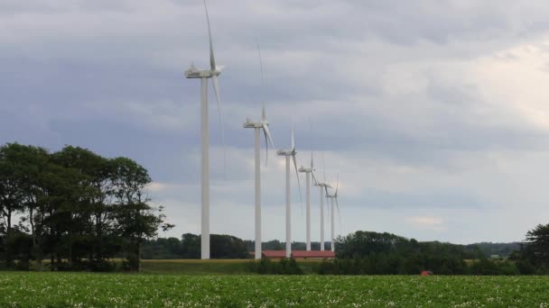 Hirtshals Denmark Wind Turbines Spinning Field — Stock Video