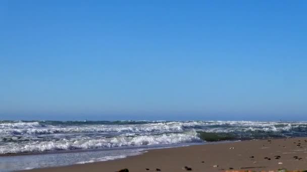 Hirtshals Danimarca Onde Dal Mare Del Nord Rotolano Sulla Spiaggia — Video Stock
