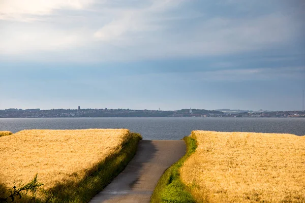 デンマーク中部のモールス島とリムフィヨルドのデンマーク農業風景 — ストック写真