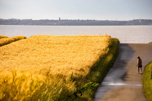 Mors Dinamarca Una Mujer Caminando Por Paisaje Agrícola Isla Mors — Foto de Stock
