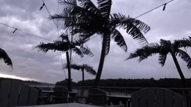 Solomonlar, Maryland USA Patuxent nehrinde büyük bir fırtına sahte palmiye ağaçlarının üzerinden geçiyor..  