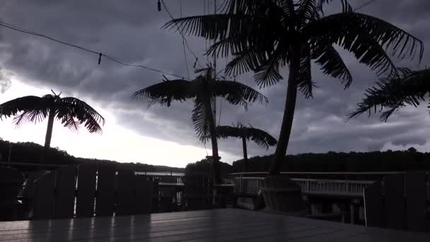 メリーランド州ソロモンズPatuxent川の大きな嵐は デッキの偽のヤシの木に吹く — ストック動画