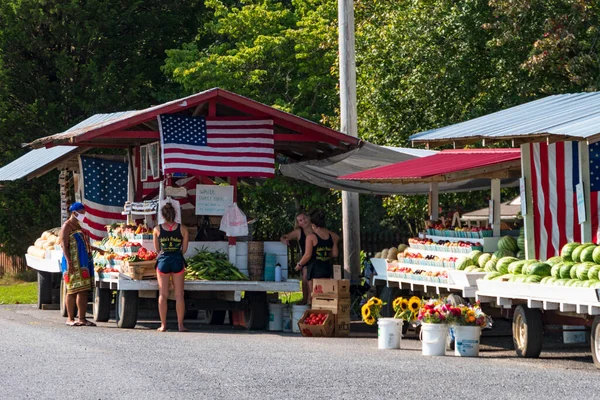 Broomes Island Maryland Usa Farmers Market Side Road — Stock Photo, Image