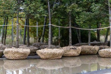 Stockholm, İsveç Kökleri, bir otoparkta nakil ve şehre nakil için ağaçları oyaladı..