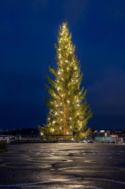 Stockholm, İsveç 1 Aralık 2025. Tantolunden parkının tepesinde gece vakti aydınlatılmış büyük bir Noel ağacı..