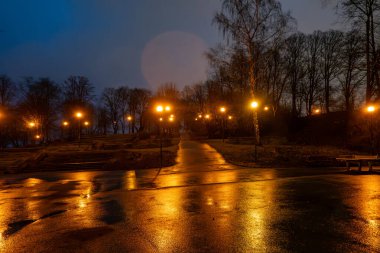 Tallinn, Estonya Yağmurda aydınlık bir parkın manzarası.