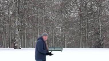 Stockholm, İsveç. Bir adam Drottningholm Sarayı 'nda yürüyor. Halk bahçelerinde ve karda park ediyor..