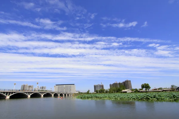 Wide water surface and buildings — Stock Photo, Image