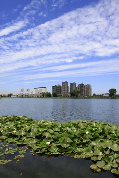 Amplia superficie de agua y edificios — Foto de Stock