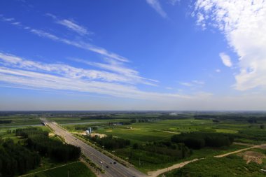 mavi gökyüzünün altında geniş orman 