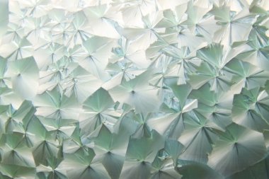 Seramik ölçekler doku özellikleri 