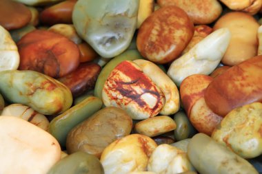 ince yeşim tohum kazançlar 