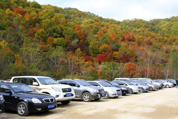 Molte auto parcheggiate in parcheggio di un posto panoramico Foto Stock