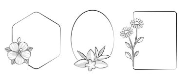 Siyah ve beyaz çizim tarzında papatya çayı, nane ve yasemin içeren Botanik Çerçeveler