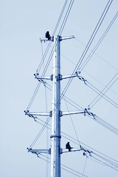 Hochspannung elektrische Leistung Stahlrohrturm — Stockfoto