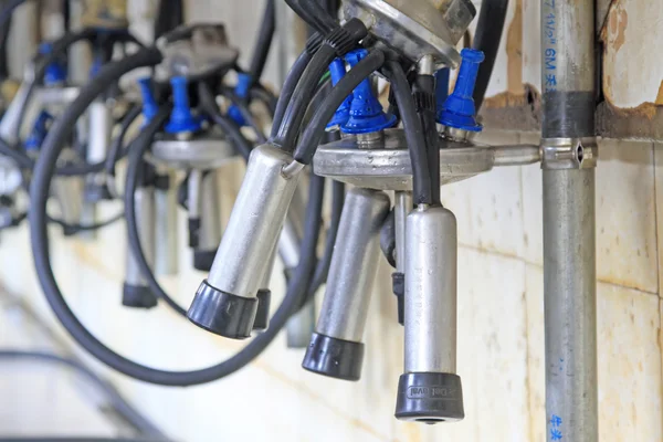 Mekanize sağım ekipman sağım atölye