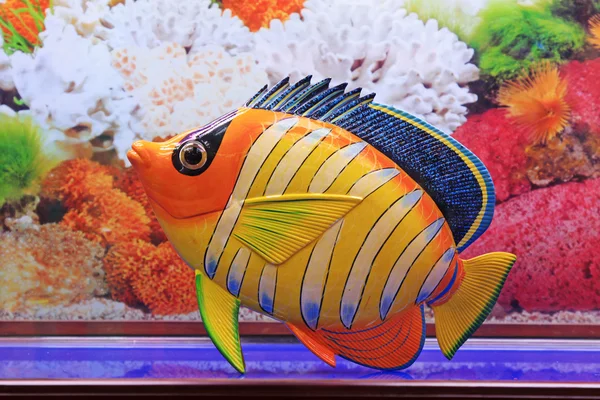 Tropische Fische im Aquarium — Stockfoto