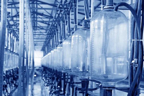 Glass milk storage tank in a milking workshop — Stock Photo, Image