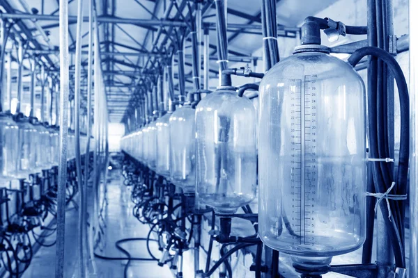 Tanque de almacenamiento de leche de vidrio en un taller de ordeño —  Fotos de Stock