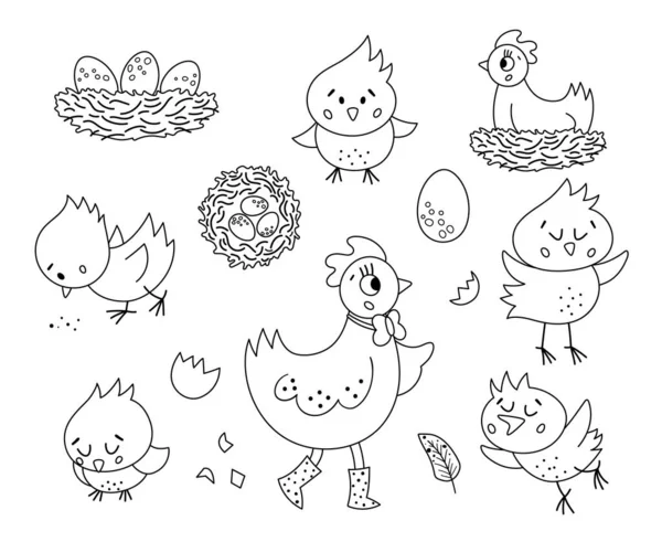 Διάνυσμα Ασπρόμαυρο Σετ Χαριτωμένη Κότα Μικρά Πουλάκια Αυγά Φωλιά Άνοιξη — Διανυσματικό Αρχείο