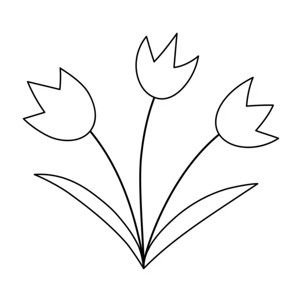Διάνυσμα Μαύρο Και Άσπρο Εικονίδιο Τουλίπες Πρώτη Ανθισμένα Φυτά Περίγραμμα — Διανυσματικό Αρχείο