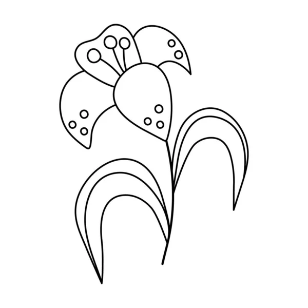 Icône Vectorielle Lys Noir Blanc Symbole Pâques Illustration Contour Fleur — Image vectorielle