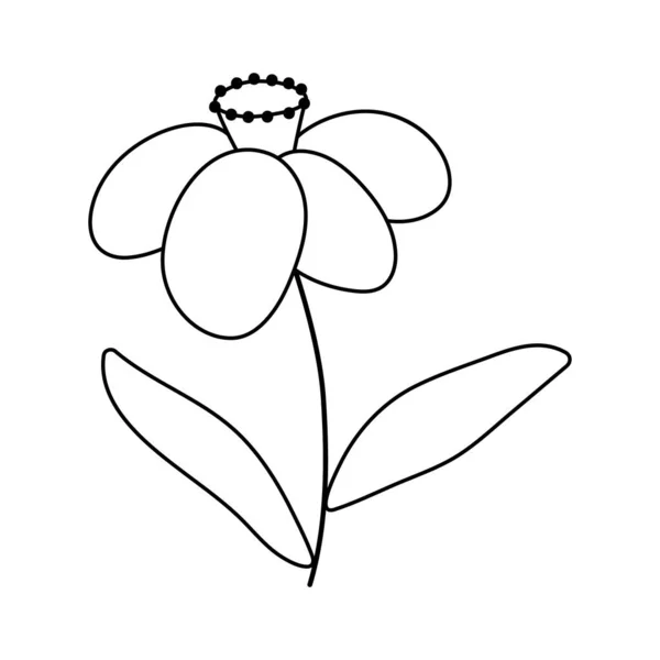 Διάνυσμα Ασπρόμαυρη Εικόνα Νάρκισσου Πρώτη Ανθισμένη Απεικόνιση Περίγραμμα Φυτού Ασφόδελου — Διανυσματικό Αρχείο