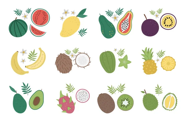 Vetor Frutas Tropicais Bagas Clip Art Ilustração Folhagem Selva Plantas — Vetor de Stock