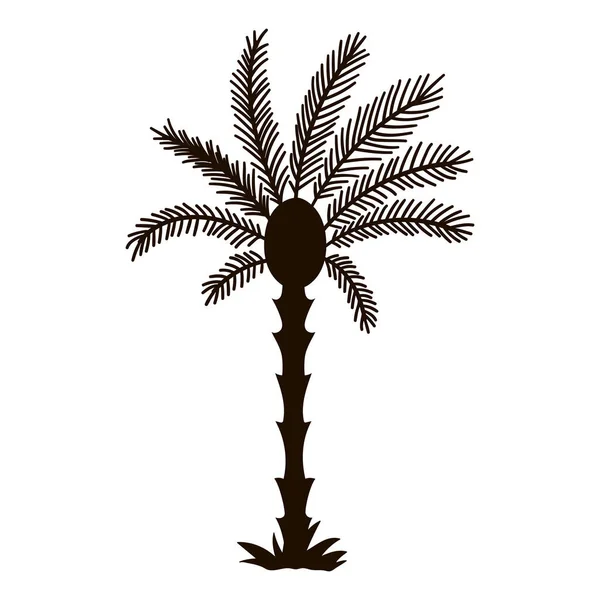 Silhouette Vectorielle Palmier Tropical Icône Feuillage Jungle Noire Plante Exotique — Image vectorielle