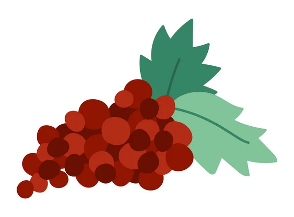 Vector Uvas Bonitos Com Folhas Ícone Fruta Outono Engraçado Estilo — Vetor de Stock