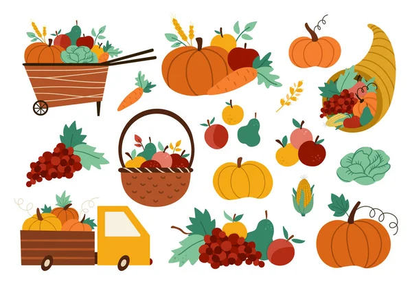 Herbsternte Steht Vektorfarmgemüse Obst Und Beerensammlung Mit Kürbissen Karotten Äpfeln — Stockvektor