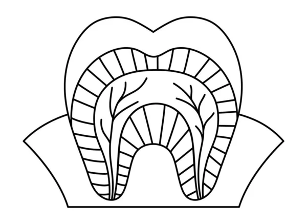 Black White Tooth Anatomy Poster Line Teeth Structure Scheme Dental — Stock Vector