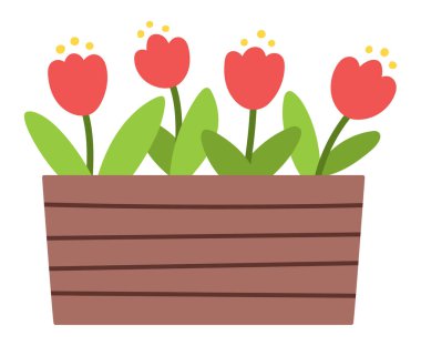 Kırmızı laleli taşıyıcı çiçek yatağı. İlk çiçek açan bitkiler illüstrasyonu. Çiçek parçası. Beyaz arkaplanda izole edilmiş şirin düz bahar çiçekleri simgesi