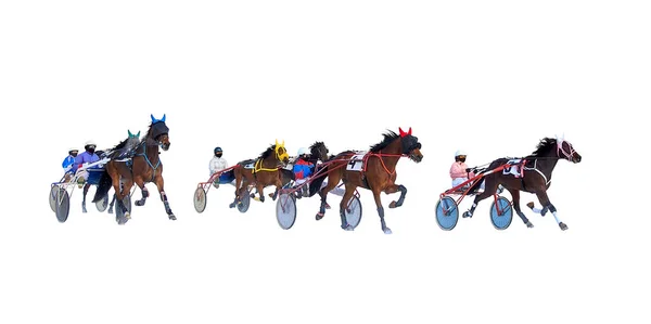 Häst Racing Hästar Galopp Isolerad Vit Bakgrund — Stockfoto