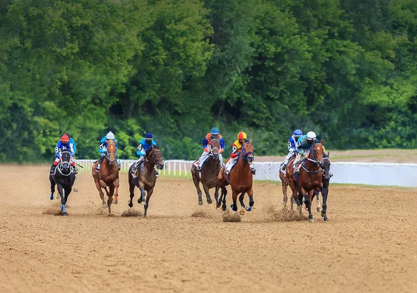 Jockey Caballos Carreras Saltar Línea Meta Terreno Arenoso — Foto de Stock