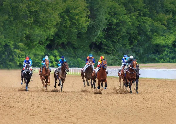 Jockey Hästkapplöpning Hästar Hoppa Till Mållinjen Sandig Mark — Stockfoto