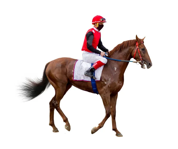Jockey Paardenrennen Geïsoleerd Witte Achtergrond — Stockfoto
